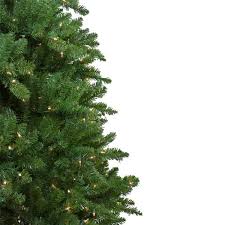 10 foot pre lit christmas tree. Northlight Pre Lit Slim Eastern Pine Artificial Christmas Tree Clear Lights 10 Ft 31451231 Rona