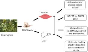 Image result for Bridelia ferruginea