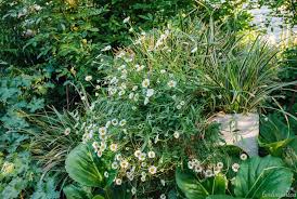 Pin Auf Gartentipps Und Gartentricks