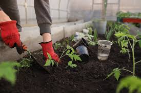 Mar 05, 2021 · work it into the soil at least a few weeks prior to planting. Soil Preparation For Vegetables Flowers And Herbs Gardening Tips