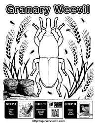 Quivervision Artirilmis Gerceklik Boyama Sayfalari 3d Boyama