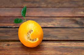 When your body gets excessive vitamin c, it can usually just excrete the extra vitamin c in your urine. What To Consider When Choosing A Vitamin C Supplement