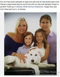 This human contact is essential to a german shepherd's socialization. White German Shepherd Dogs Puppies Polarbear