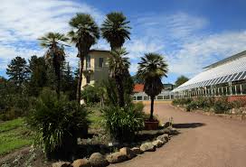 Helen herrmann (+49) 345 55 26271: Botanischer Garten Empfangt Wieder Gaste