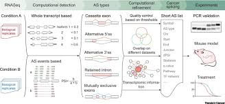 Medical definition of alternative splicing: Computing The Role Of Alternative Splicing In Cancer Trends In Cancer