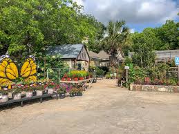 Since 1972, covington's nursery & landscape has helped generations of families to create beautiful home atmospheres, which is a vital. The Best Austin Nurseries Garden Centers Texan Travels