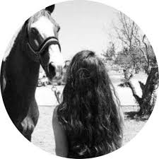 pin by وتين on افتارات photography inspiration portrait profile pictures instagram horse girl photography
