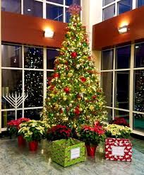 Thank you for your interest in easy treezy commercial christmas trees. How To Pick A Commercial Christmas Tree Neave Group