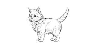 Free online drawing application for all ages. How To Draw A Super Cute Kitten Step By Step