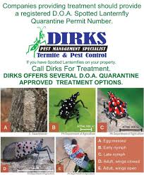 Thrasher pest control offers the best pest control near you, our silicon valley neighbors. Spotted Lanternfly Identification And Treatment Dirks Pest Management Dirks Pest Control
