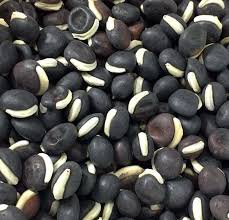 Image result for Dolichos