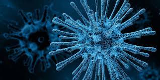 Corona was born at the beach, surrounded by ocean. Das Wichtigste Zum Corona Virus Sars Cov 2