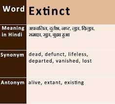 Extinct Synonyms Antonyms Hindi Meaning Uses Onlinegkguide Synonyms And Antonyms English Vocabulary Learn English