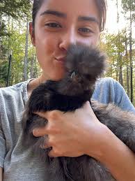 Loss of a beloved chicken, especially favorites