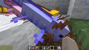 Axolotls come in five different colors · lucy (light pink) · wild (brown) · gold (yellow) · cyan (light blue, nearly white, with pink details) · blue. Como Conseguir El Ajolote Mas Raro En Minecraft Moyens I O