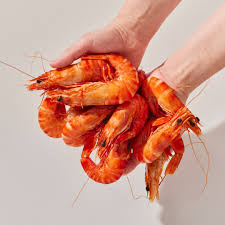 Seahawk Marine Raw Tiger Prawns 16/20 Head & Shell On (600G)