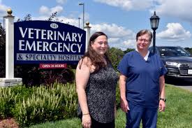 Veterinary emergency hospital planned for West Springfield - masslive.com