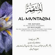 Bird Of Paradise Meaning In Hindi Al Muntaqim Beautiful Names Of Allah Allah Names Allah Islam