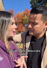 Como Llama La Gallina Al Gallo