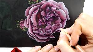 Closeup of drawing at the desk. Colored Pencil Drawing Timelapse Roses On Black Background Youtube