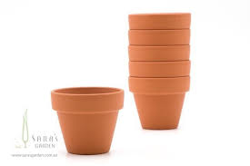 Mini Terracotta Pot Diy Succulent Favours Kids Birthday Parties