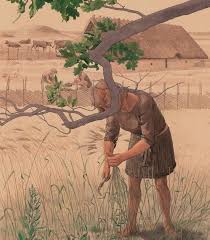Host Med Bronzesegl Ernte Mit Bronze Siegel Harvest With Sickle Bronzezeit Steinzeit Menschheitsgeschichte