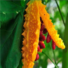 Asya, yüzlerce dil ve lehçeyle geniş bir kıta. 10 Egzotik Cicek