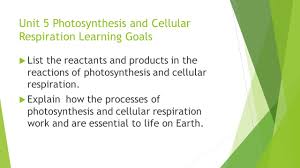 Jan 15, 2021 · cellular respiration definition. Unit 5 Photosynthesis And Cellular Respiration Ppt Download