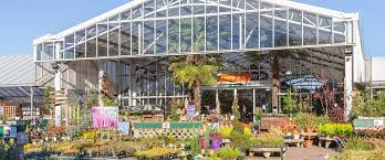 Discover local gardening equipment & supplies in your neighbourhood with yp.ca's complete listings. Perrywood Essex Garden Centre Plant Nursery In Tiptree Colchester