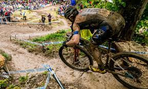 The btt token model should unify the efforts to reduce structural shortcomings of the bittorrent protocol itself. Btt Oder Mtb Bedeutet Mountainbiketypen