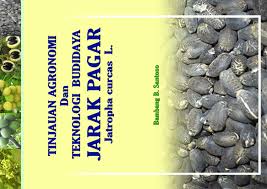 Dengan demikian, jumlah bayangan yang dibentuk oleh dua cermin datar yang disusun membentuk sudut 60° adalah 5 buah. Pdf Tinjauan Agronomi Dan Teknologi Budidaya Tanaman Jarak Pagar Jatropha Curcas L