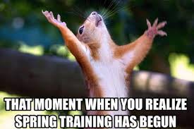 Squirrel Spring Training Meme Spring Training Baseball Memes Training Meme
