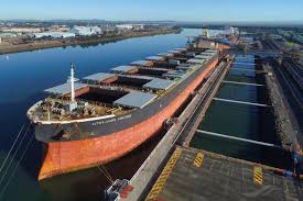 Noun the region now known as xinjiang is the homeland of. Lowlands Orchid Bulk Carrier Schiffsdaten Und Aktuelle Position Imo 9271614 Mmsi 563010900 Vesselfinder
