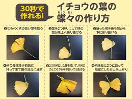 30秒で作れる イチョウの蝶々 ちょうちょ の作り方 ウェザーニュース