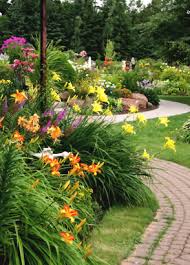 Whether you're a beginning gardener or a pro, these popular perennials are some of the best to include in your garden. Pinching Pruning And Cutting Back Perennials Natureworks