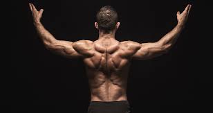 Seated lat pull down is another great variation for your back muscles. 5 Workouts To Build A Ripped Lower Back Generation Iron