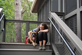 Maybe you would like to learn more about one of these? Stay In These Cozy Cabins With Your Dog At Georgia State Parks Official Georgia Tourism Travel Website Explore Georgia Org