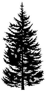 Caratteristiche ideale per giardino telaio in metallo anti ruggine design elegante a tema floreale per 2 persone seduta ergonomico resistente alle intemperie è richiesto il montaggio dati tecnici materiale: 14 Idee Su Silhouette Nere Alberi Silhouette Alberi Verniciati Schizzi Di Albero