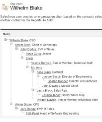 Infallible Techie Contact Hierarchy In Salesforce