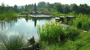 Biotop Schwimmteiche Gartenteiche Naturpools Naturschwimmbecken Wasserspiel Garten Naturschwimmbader