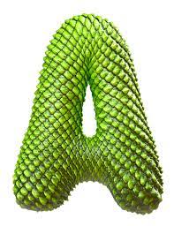 Buy Dragon Skin Font And Create Your Own Fantasy World Dragon Skin Handmade Font Alphabet Art Photography
