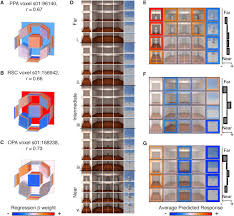 Close ads and play video. Human Scene Selective Areas Represent 3d Configurations Of Surfaces Sciencedirect