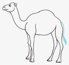 I think it demands a great effort. Camel Clipart Simple Draw Camel Hd Png Download Kindpng