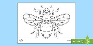 Bee Template Colouring Sheets Ks2