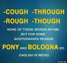 Pony And Bologna English Teacher Humor Teacher Humor Grammar Humor