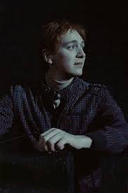 Which weasley twin dies in harry potter? Weasley Don T Go George Weasley