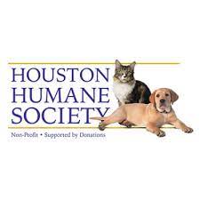 The adoption fee includes everything you need. Houston Humane Society Animal Dog Shelter Sugar Land Houston Tx
