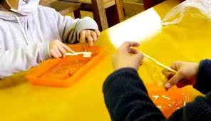 葉の緑色を分けるクロマトグラフィー 葉脈標本作り タラヨウの葉で手紙を書く 小学校理科教材ヒント