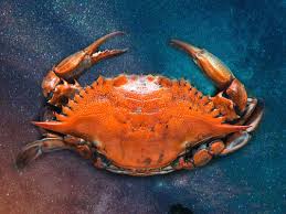 When a cancer man likes someone, he will work to make that person happy. 7 Signs Cancer Men Like You Things He Does When He Likes You