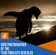 Looking for daniela florez popular content, reviews and catchy facts? See The Stunning Bird Photographer Of The Year 2021 Finalists
